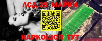 шишки Боровичи