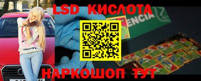 шишки Боровичи
