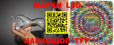 шишки Боровичи