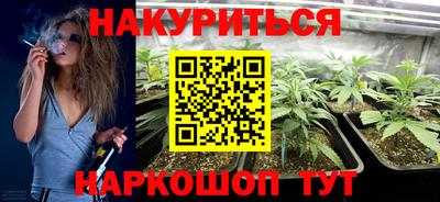 шишки Боровичи