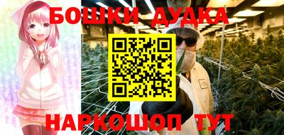 шишки Боровичи