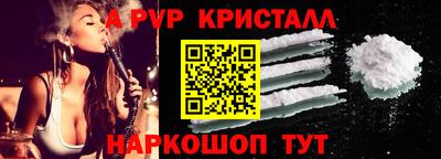 шишки Боровичи