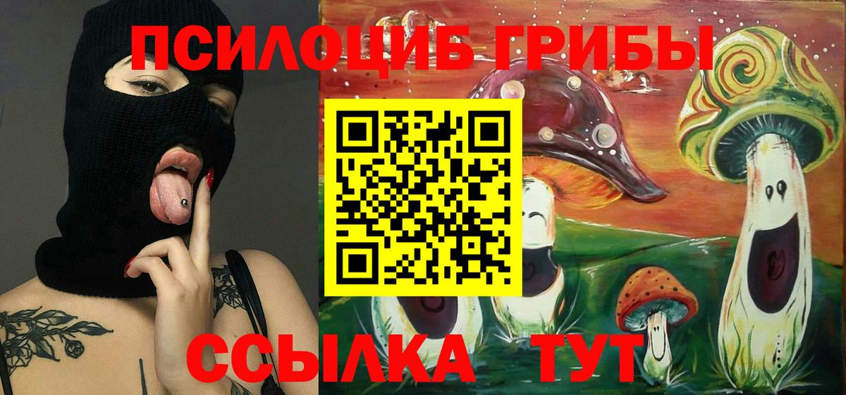 Новочебоксарск  Галлюциногенные грибы прущие грибы  Вход с VPN 